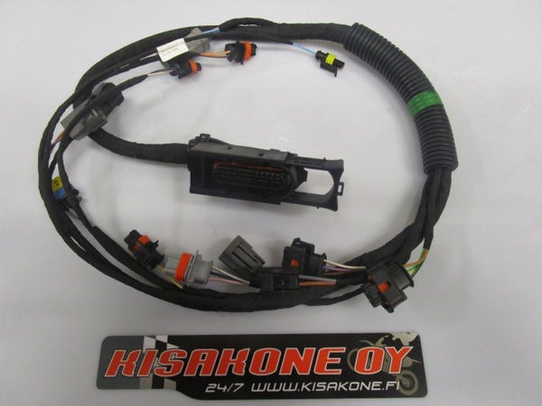 Wiring Harness 420664223